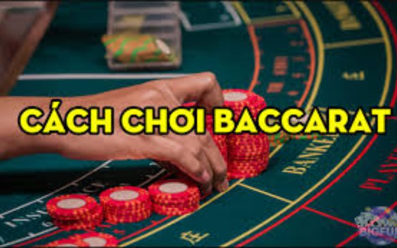 Chiến thuật chơi Baccarat từ chuyên gia hiệu quả